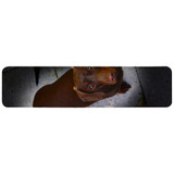 Wall Charger Wrap in 2 Sizes, Paper Leather, Portrait Of Tan Daschund | AddOns | iCoverLover.com.au
