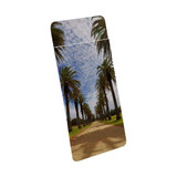 1 or 2 Card Slot Wallet Adhesive AddOn, Paper Leather, St Kilda Palm Walkway | AddOns | iCoverLover.com.au