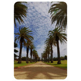 1 or 2 Card Slot Wallet Adhesive AddOn, Paper Leather, St Kilda Palm Walkway | AddOns | iCoverLover.com.au