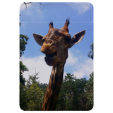 1 or 2 Card Slot Wallet Adhesive AddOn, Paper Leather, Smiling Giraffe | AddOns | iCoverLover.com.au