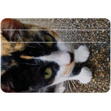 1 or 2 Card Slot Wallet Adhesive AddOn, Paper Leather, Cat Closeup | AddOns | iCoverLover.com.au