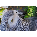 1 or 2 Card Slot Wallet Adhesive AddOn, Paper Leather, African Grey | AddOns | iCoverLover.com.au