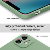 For iPhone 15 Pro Max, 15 Pro, 15 Plus, 15 Case, Silicone Soft Cover, Wrist Strap, Matcha Green | iCoverLover Australia