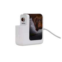 Wall Charger Wrap in 2 Sizes, Paper Leather, Portrait Of Tan Daschund | AddOns | iCoverLover.com.au