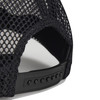 Black Mesh Cap