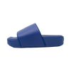 Blue Platform Slides 