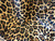 leopard leather printed, leather sheets, hair on sheets