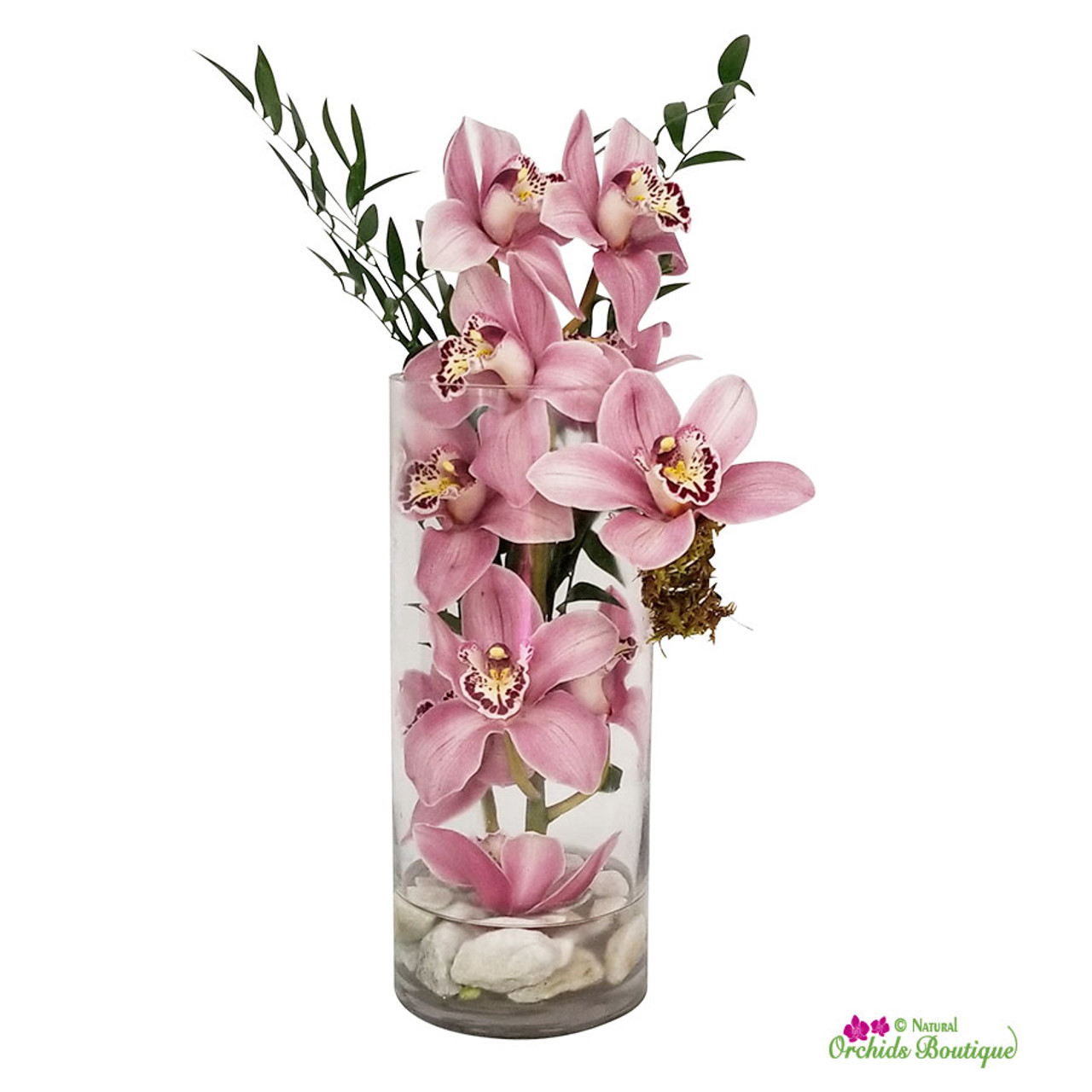 Love You Cymbidium Orchid Arrangement Natural Orchids Boutique