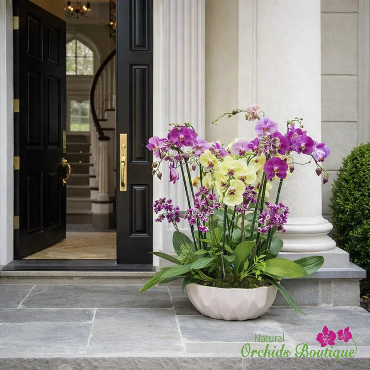 Mix Phalaenopsis Orchid Arrangement in Various Colors And Sizes