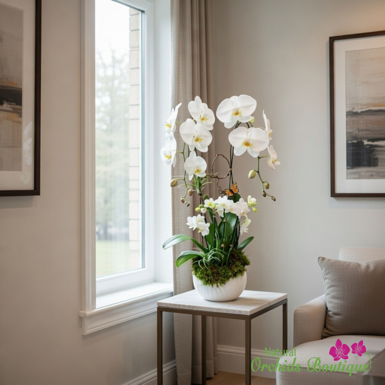 Into Classic Phalaenopsis Orchid Arrangement