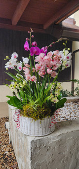 ORCHID ARRANGEMENT FOR ANY OCCASION: THE ULTIMATE GIFT GUIDE FOR EVERY CELEBRATION