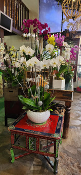 A MEANINGFUL CHRISTMAS GIFT WHEN YOU DON’T KNOW WHAT TO BUY