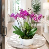 HOW RECURRING ORCHID ARRANGEMENTS WORK FOR BUSINESSES