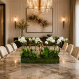 WHAT IS THE BEST ORCHID PLANT TO GIVE AS A GIFT FOR ANY OCCASION?