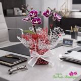CORPORATE ORCHID GIFTS MIAMI: A SMART CHOICE FOR BUSINESS GIFTING