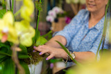 HOW TO CARE FOR A PHALAENOPSIS ORCHID AND KEEP IT BLOOMING