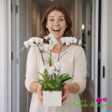 WHY ORCHID ARRANGEMENTS MAKE THE PERFECT GIFT FOR ANY OCCASION