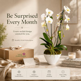 BEST ORCHID SUBSCRIPTION: THE EASIEST WAY TO KEEP YOUR SPACE ELEGANT