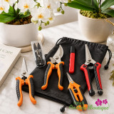 THE ESSENTIAL ORCHID CARE ACCESSORIES EVERY ORCHID OWNER NEEDS