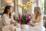 WHY ORCHID GIFTS MAKE THE PERFECT PRESENT FOR ANY OCCASION