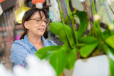  WHY ORCHIDS ARE MORE THAN JUST BEAUTIFUL FLOWERS