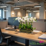 OFFICE FLOWER DELIVERY MIAMI: BENEFITS OF WEEKLY FLORAL SERVICES