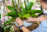 HOW PROFESSIONAL ORCHID CARE EXTENDS THE LIFE OF LUXURY ARRANGEMENTS