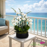 BEST SYMPATHY ORCHID ARRANGEMENTS FOR FUNERAL AND MEMORIAL SERVICES