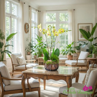 MONTHLY ORCHID SUBSCRIPTION IN MIAMI: IS AN ORCHID DELIVERY SERVICE WORTH IT?