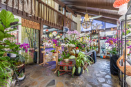 FLORIST IN KENDALL: HOW TO CHOOSE THE BEST FLOWER SHOP IN MIAMI