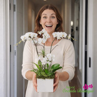 WHY ORCHID ARRANGEMENTS MAKE THE PERFECT GIFT FOR ANY OCCASION