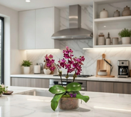 7 BEAUTIFUL ORCHID ARRANGEMENTS TO CONSIDER FOR A MONTHLY ORCHID SUBSCRIPTION