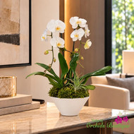 WHAT ORCHIDS ARE APPROPRIATE FOR A FUNERAL OR SYMPATHY GIFT? A MIAMI FLORIST’S GUIDE