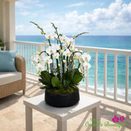BEST SYMPATHY ORCHID ARRANGEMENTS FOR FUNERAL AND MEMORIAL SERVICES