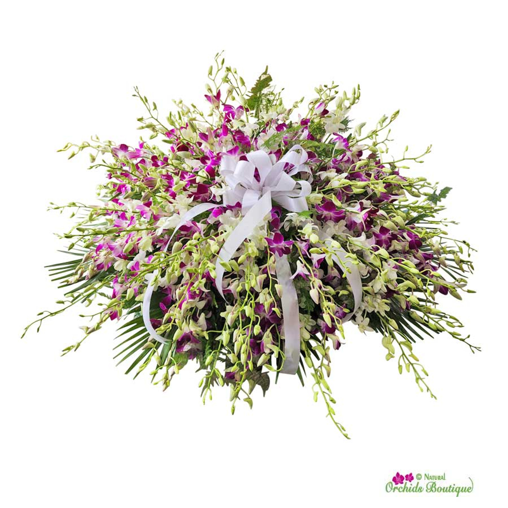 Orchids Arrangements in Kendall, Miami Natural Orchids Boutique