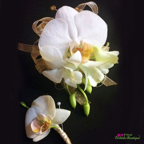 White Phalaenopsis and Dendrobium Orchid 2 Corsage and Boutonniere