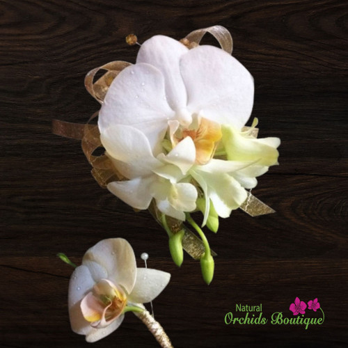 White Phalaenopsis and Dendrobium Orchid Corsage and Boutonniere set with layered white orchid petals, accented by soft green foliage and arranged in a matching pair for formal wear White Phalaenopsis and Dendrobium Orchid Corsage and Boutonniere set with layered white orchid petals, accented by soft green foliage and arranged in a matching pair for formal wear