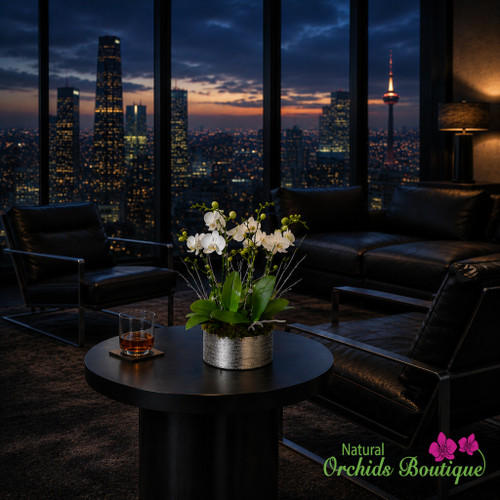 Rustic Look But Lovely Phalaenopsis Orchid Arrangement