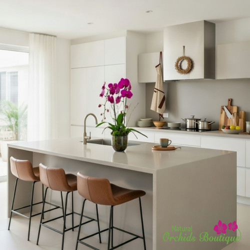 Kisses For You Phalaenopsis Orchid Arrangement