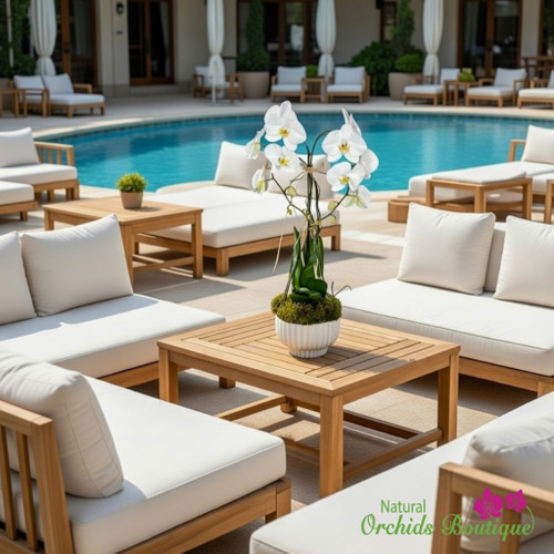 Pure Love Phalaenopsis orchid arrangement featuring elegant white orchids in a modern vase, perfect for weddings, anniversaries, and home décor