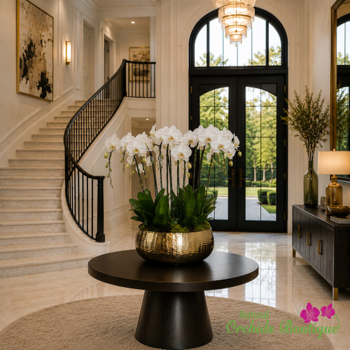 XXL white Phalaenopsis orchid arrangement with full blooms in a gold vase