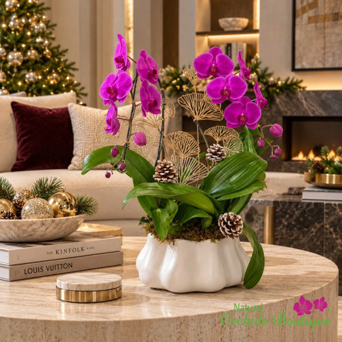 Holiday purple Phalaenopsis orchid arrangement in a white scalloped ceramic vase