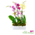 Vibrant purple, yellow, and white Phalaenopsis orchids