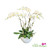 Exotic White Phalaenopsis Orchid Arrangement