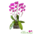 Luxury orchid centerpiece with triple swan design in textured ceramic vase high end floral arrangement