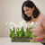 Minimalist orchid arrangement for gifting and elegant interior styling