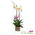 Luxury Phalaenopsis orchid centerpiece with purple and yellow blooms and sculptural styling Miami florist