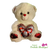 love in the air Valentine bear