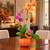 Pumpkin Spice Phalaenopsis Orchid Arrangement in bright orange pumpkin vase