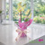 Phalaenopsis Orchid Arrangement Luxury Gift